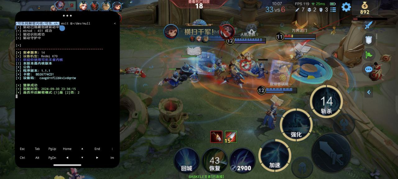 王者荣耀辅助《寒舟》